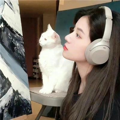 最后的独角兽